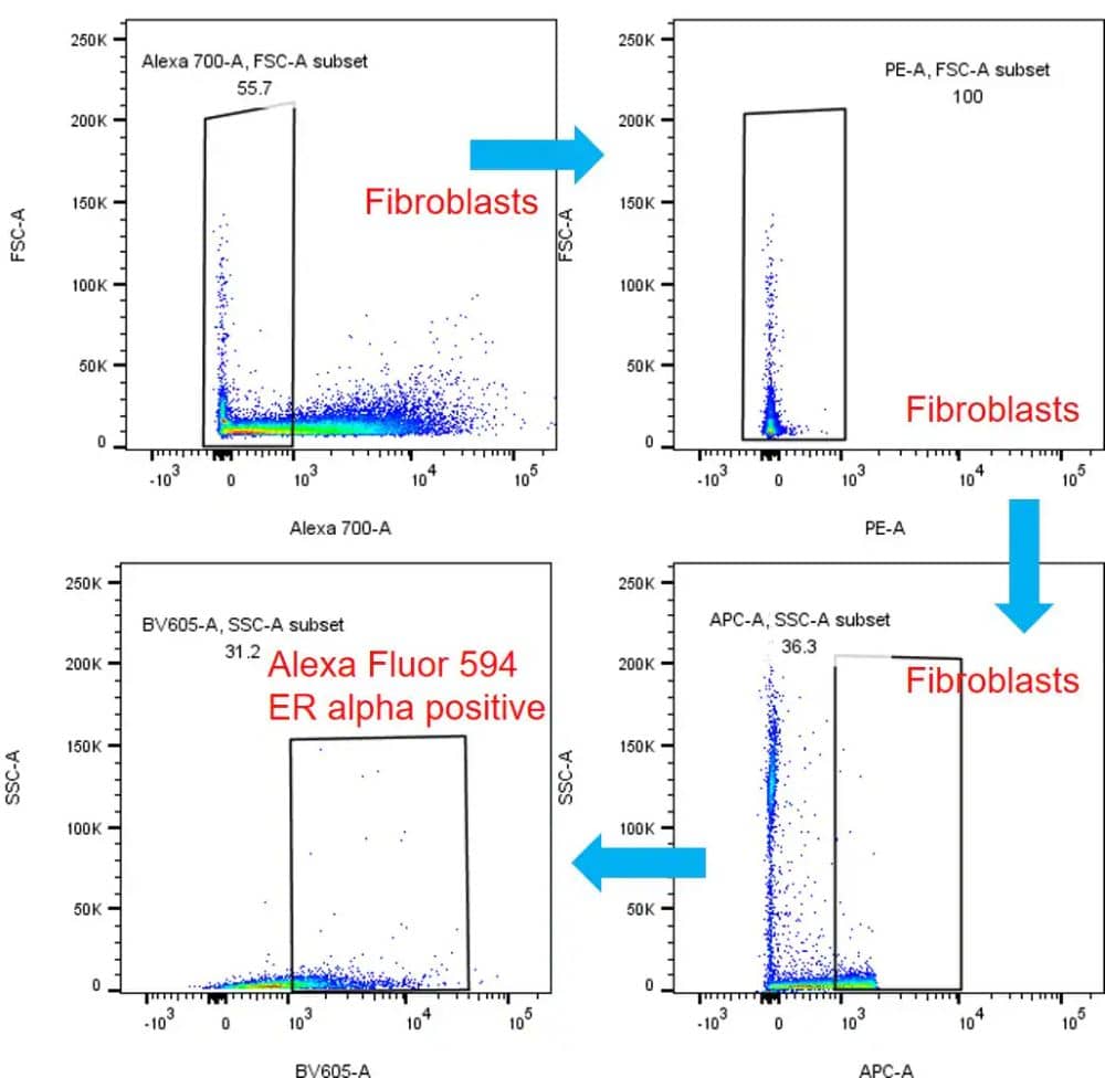 ER alpha/NR3A1 Antibody (SPM567) [Alexa Fluor® 594]