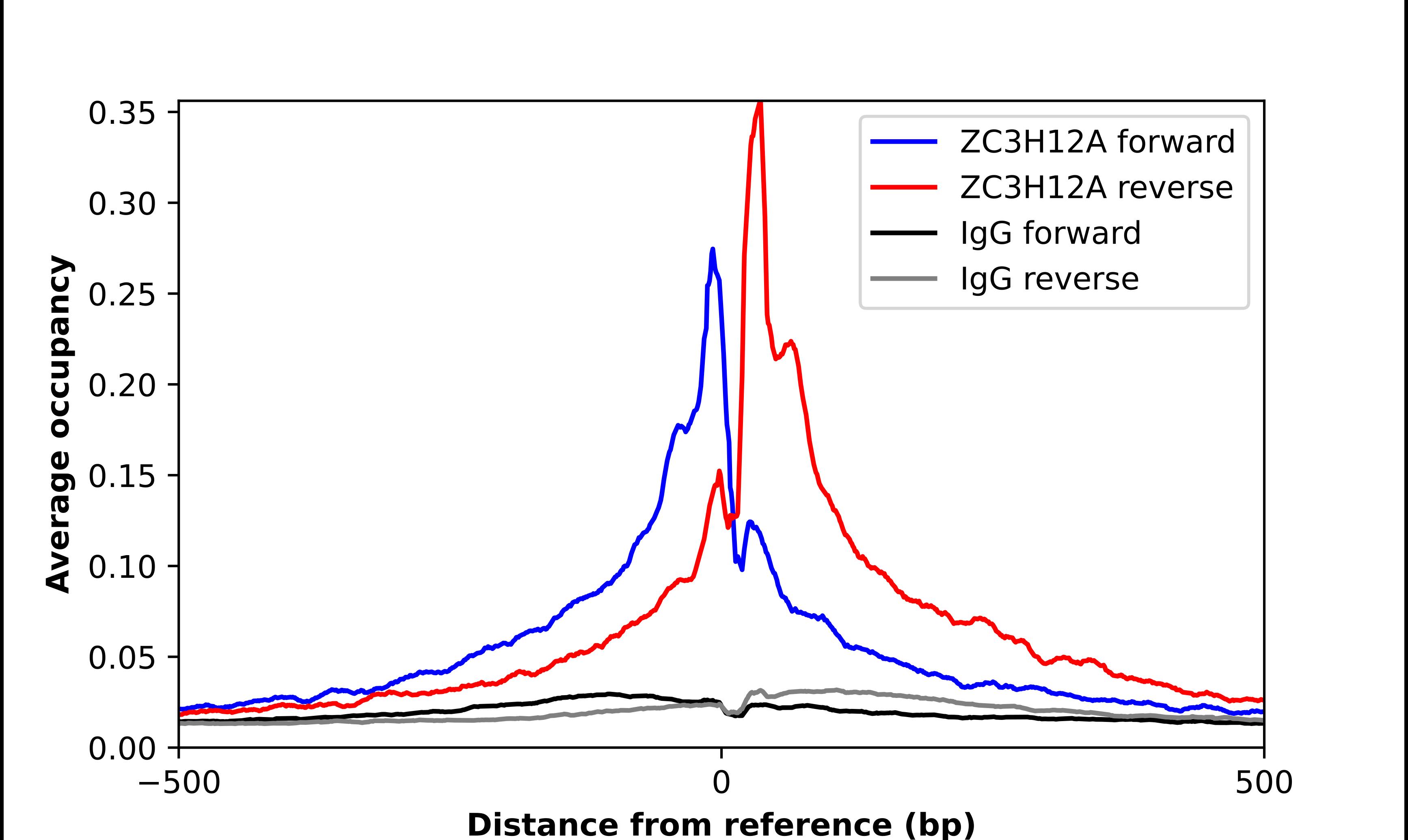 MCPIP1/ZC3H12A Antibody - BSA Free Chromatin Immunoprecipitation ChIP: MCPIP1/ZC3H12A Antibody - BSA Free