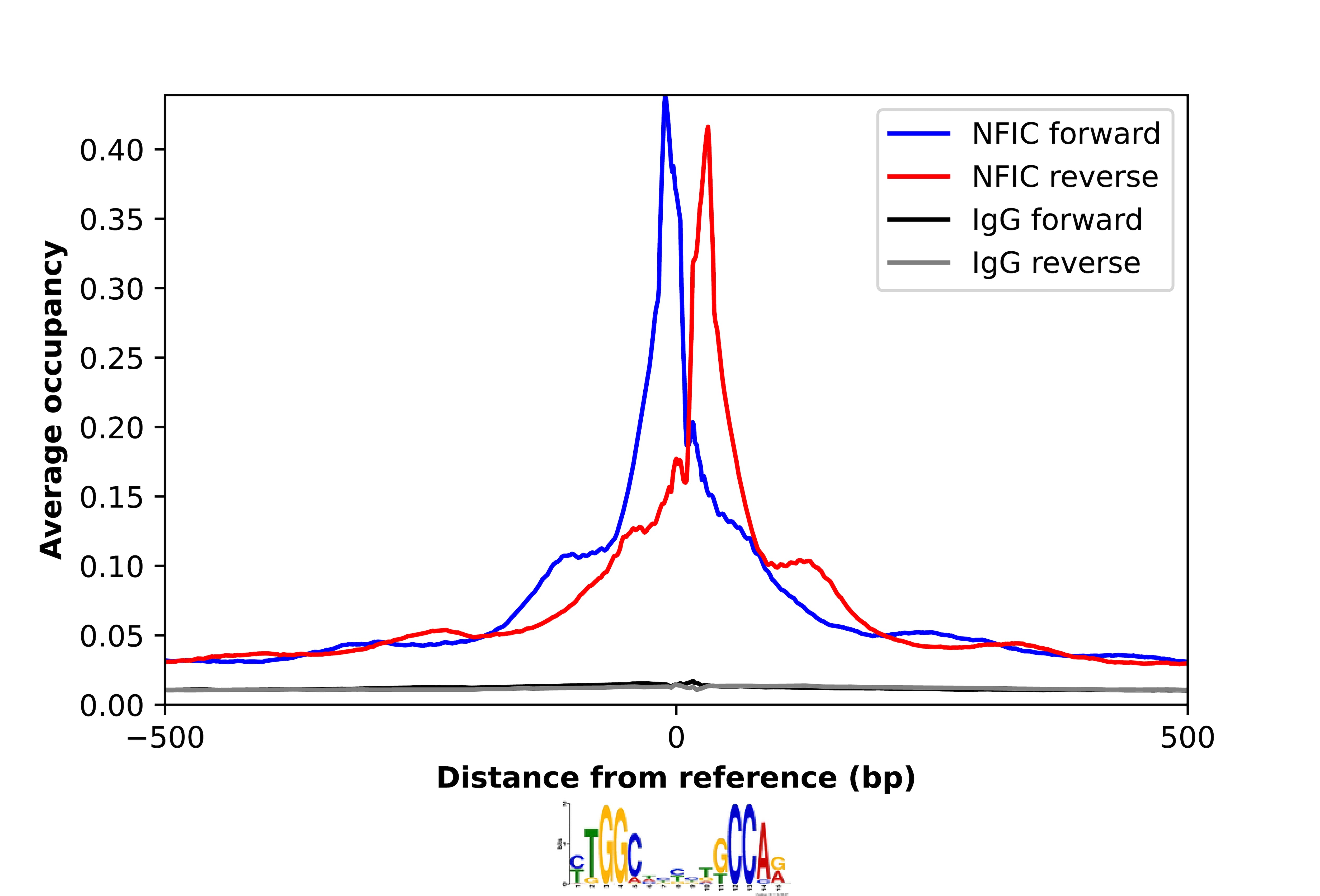 NFIC Antibody - BSA Free Chromatin Immunoprecipitation-exo-Seq: NFIC Antibody - BSA Free [NBP2-37935]