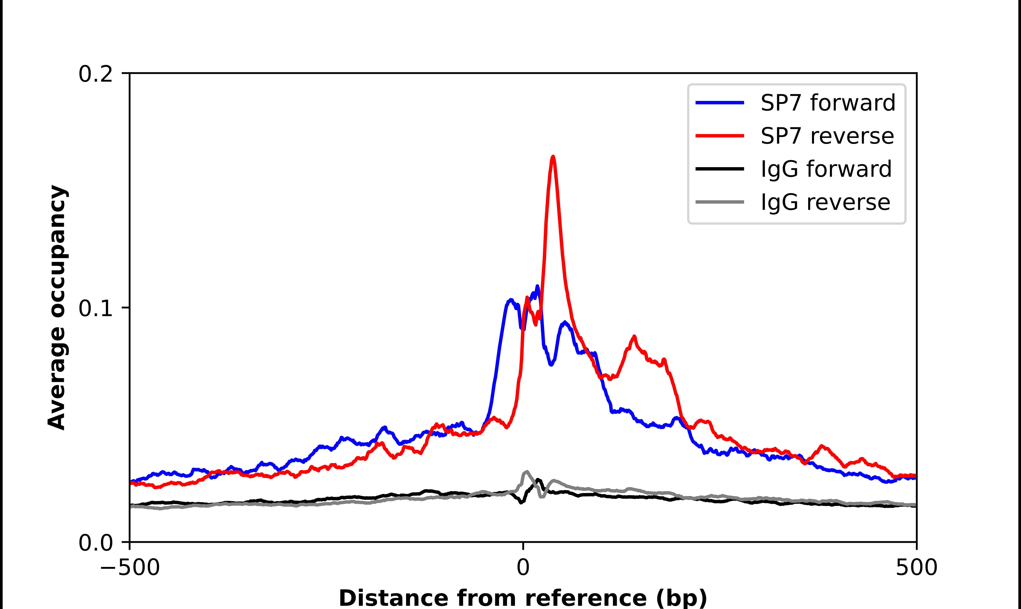 Osterix/Sp7 Antibody - BSA Free Chromatin Immunoprecipitation ChIP: Osterix/Sp7 Antibody - BSA Free