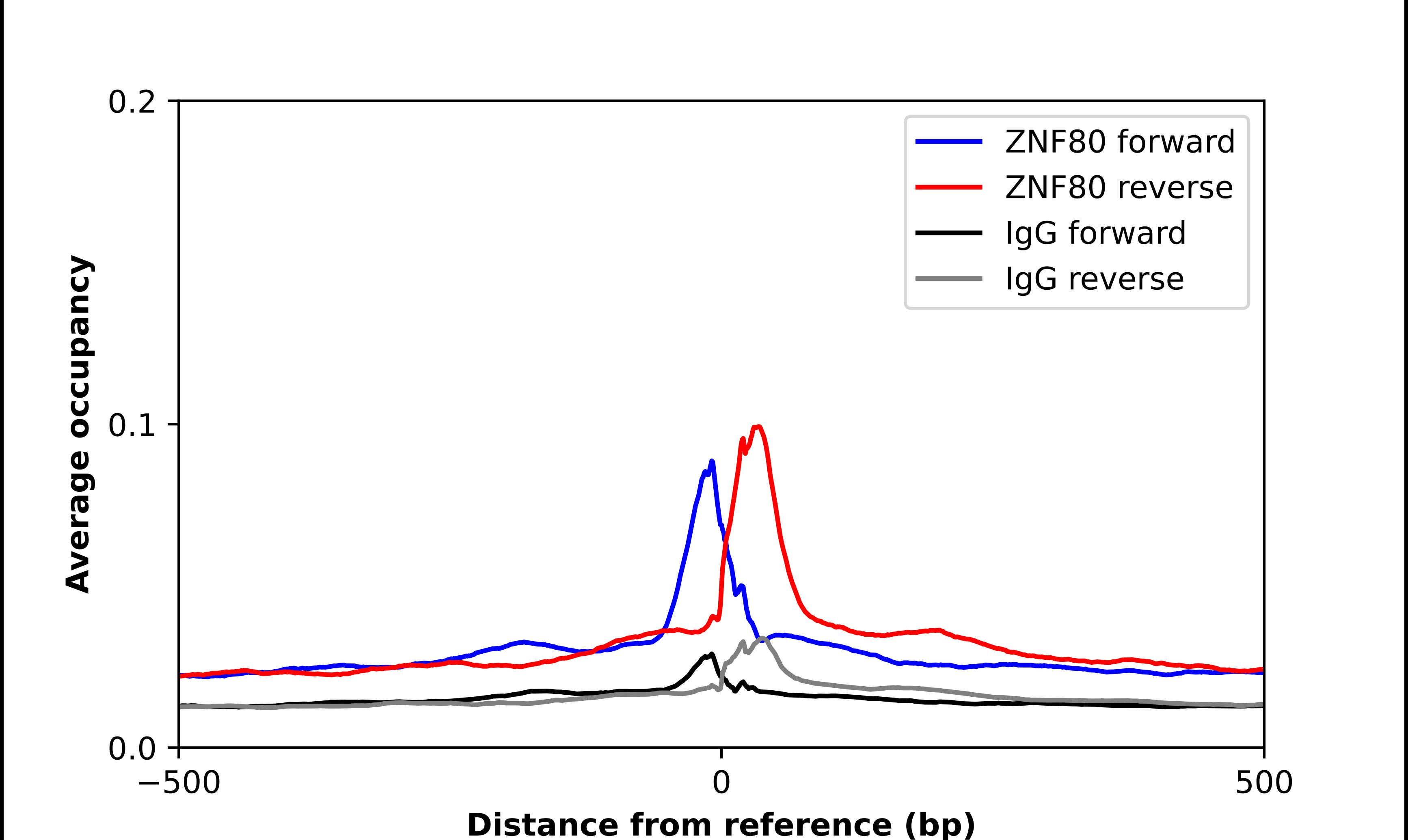 ZNF80 Antibody - BSA Free Chromatin Immunoprecipitation ChIP: ZNF80 Antibody - BSA Free