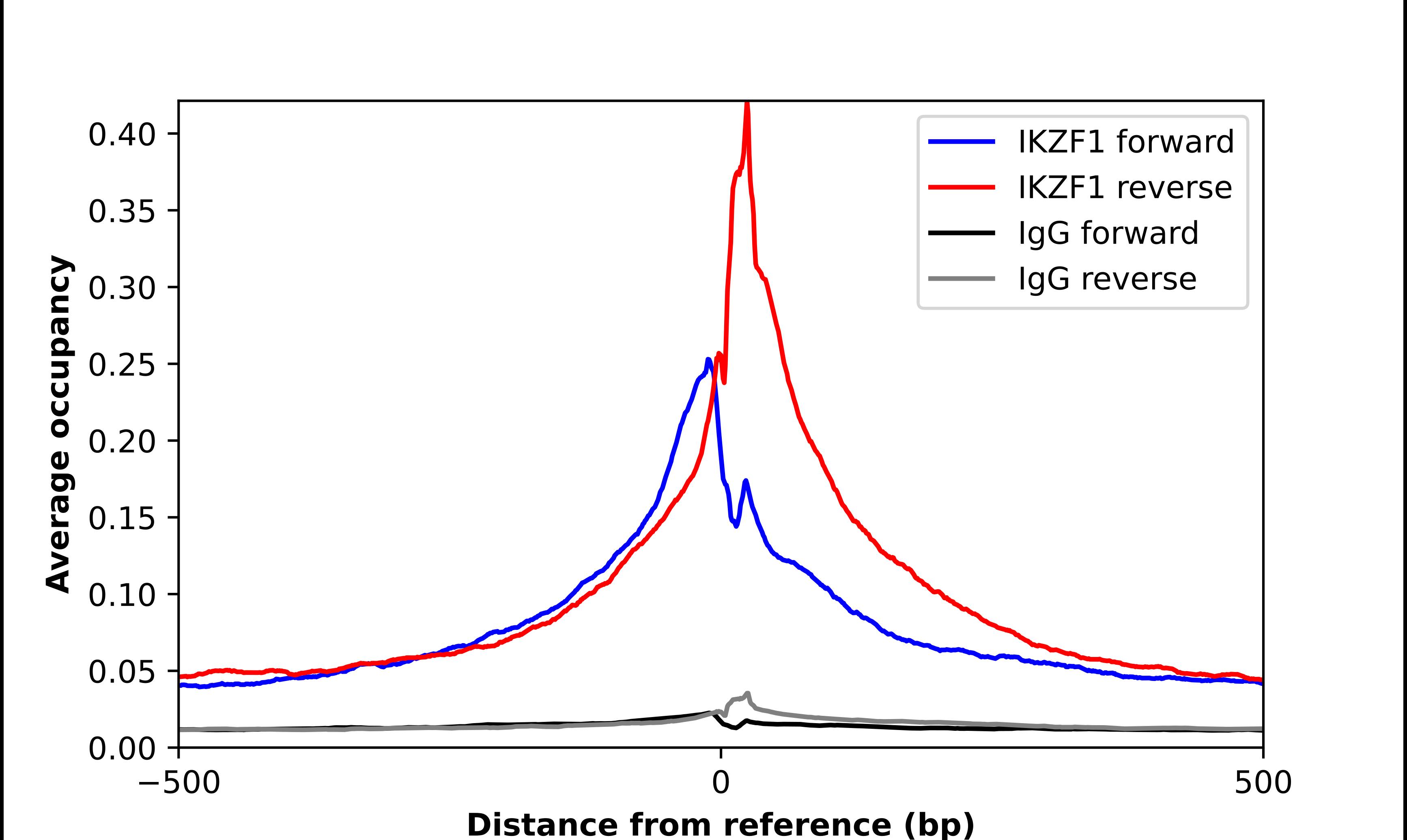 Ikaros/IKZF1 Antibody - BSA Free Chromatin Immunoprecipitation ChIP: Ikaros/IKZF1 Antibody - BSA Free