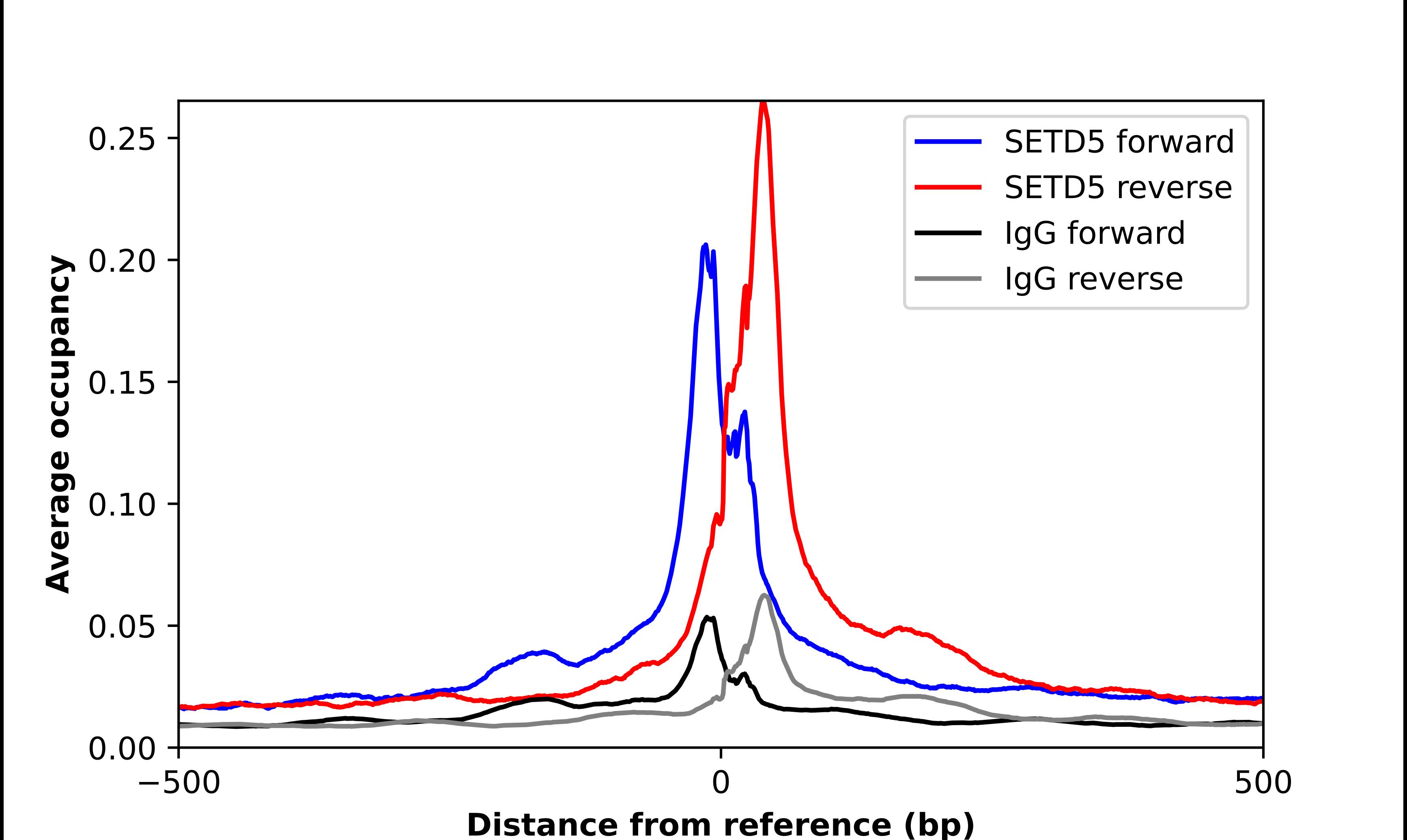 SETD5 Antibody - BSA Free Chromatin Immunoprecipitation-exo-Seq: SETD5 Antibody - BSA Free [NBP2-38257]