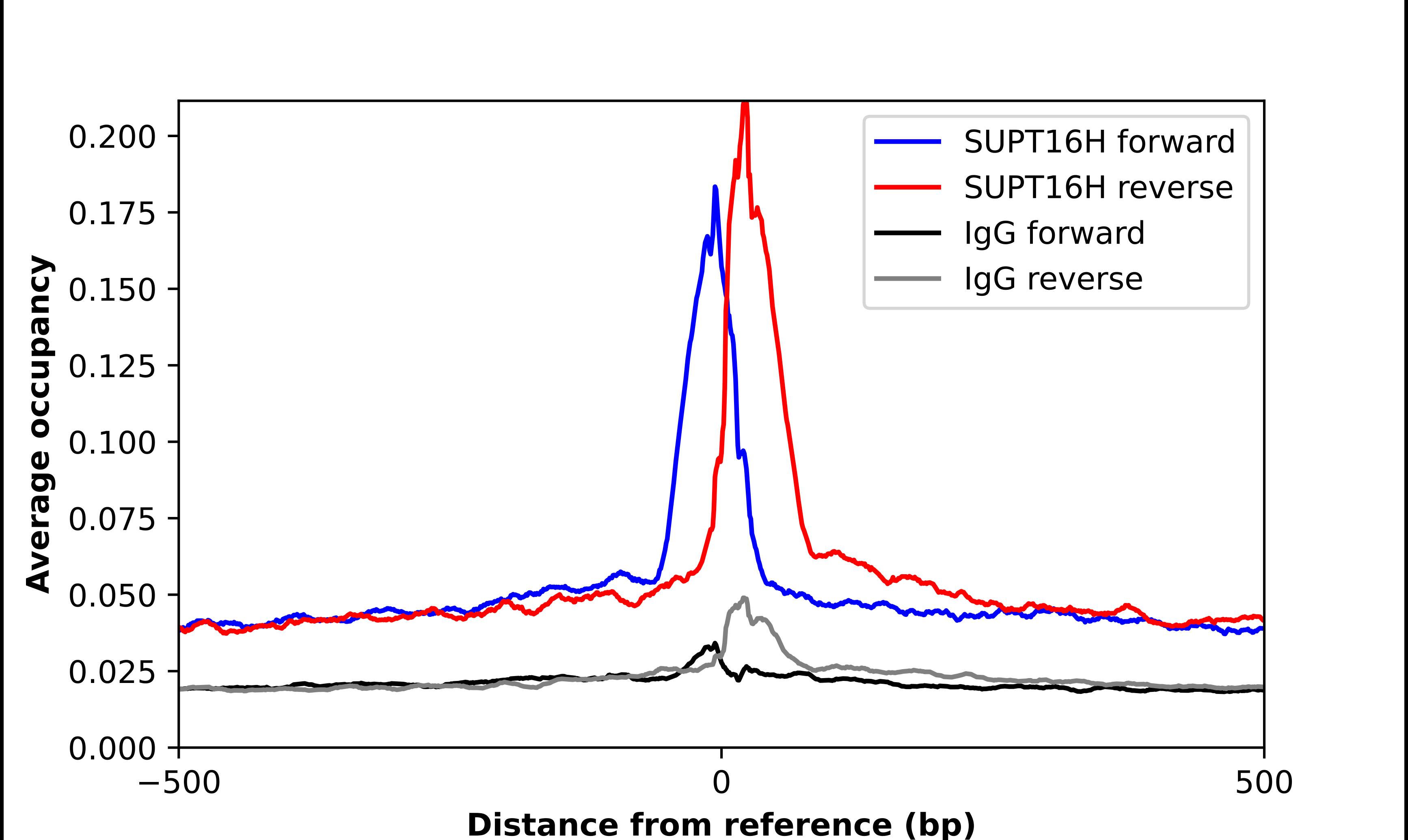SUPT16H Antibody - BSA Free Chromatin Immunoprecipitation-exo-Seq: SUPT16H Antibody - BSA Free [NBP2-38607]