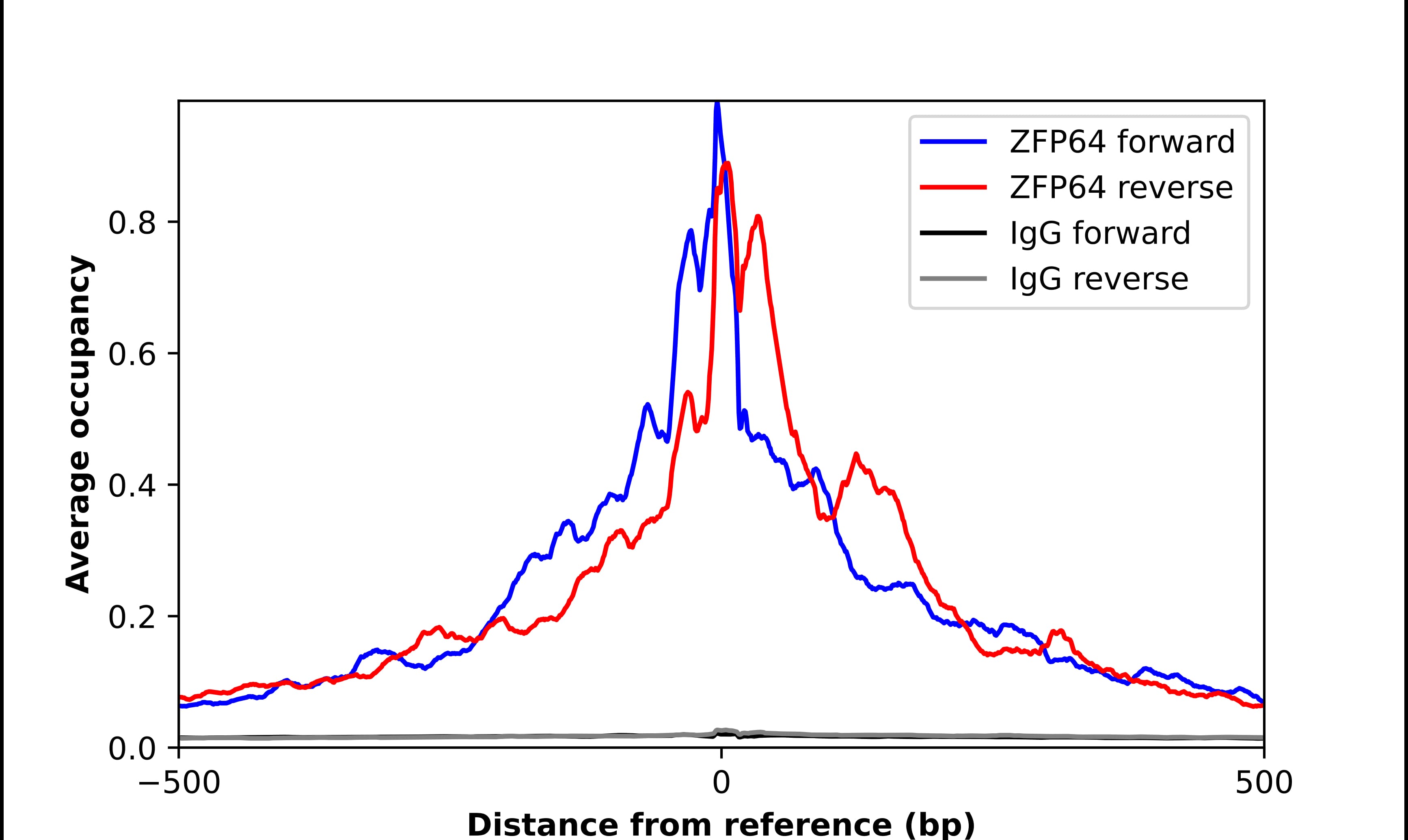 ZFP64 Antibody - BSA Free Chromatin Immunoprecipitation ChIP: ZFP64 Antibody - BSA Free