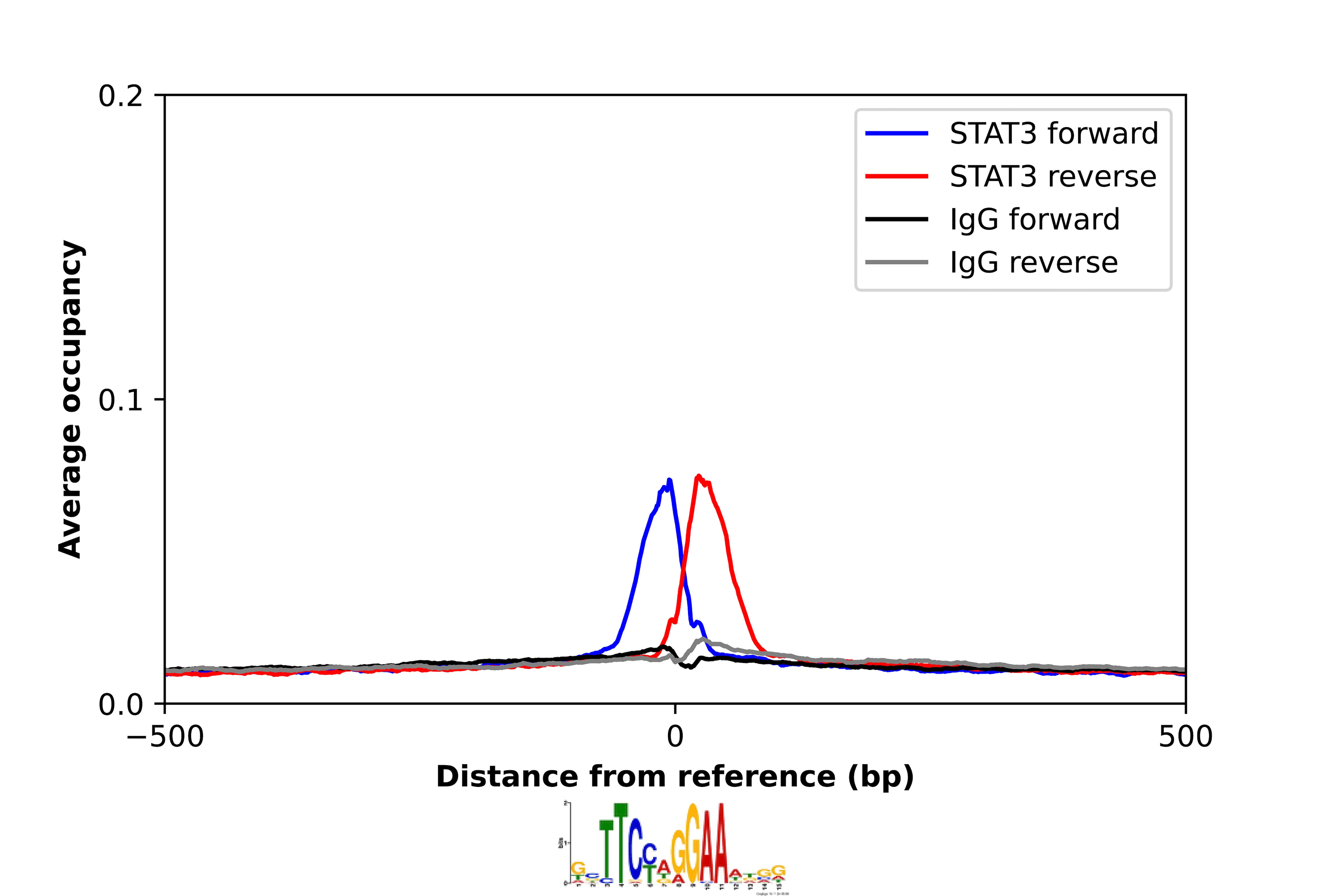 STAT3 Antibody - BSA Free Chromatin Immunoprecipitation-exo-Seq: STAT3 Antibody - BSA Free [NBP2-38857]