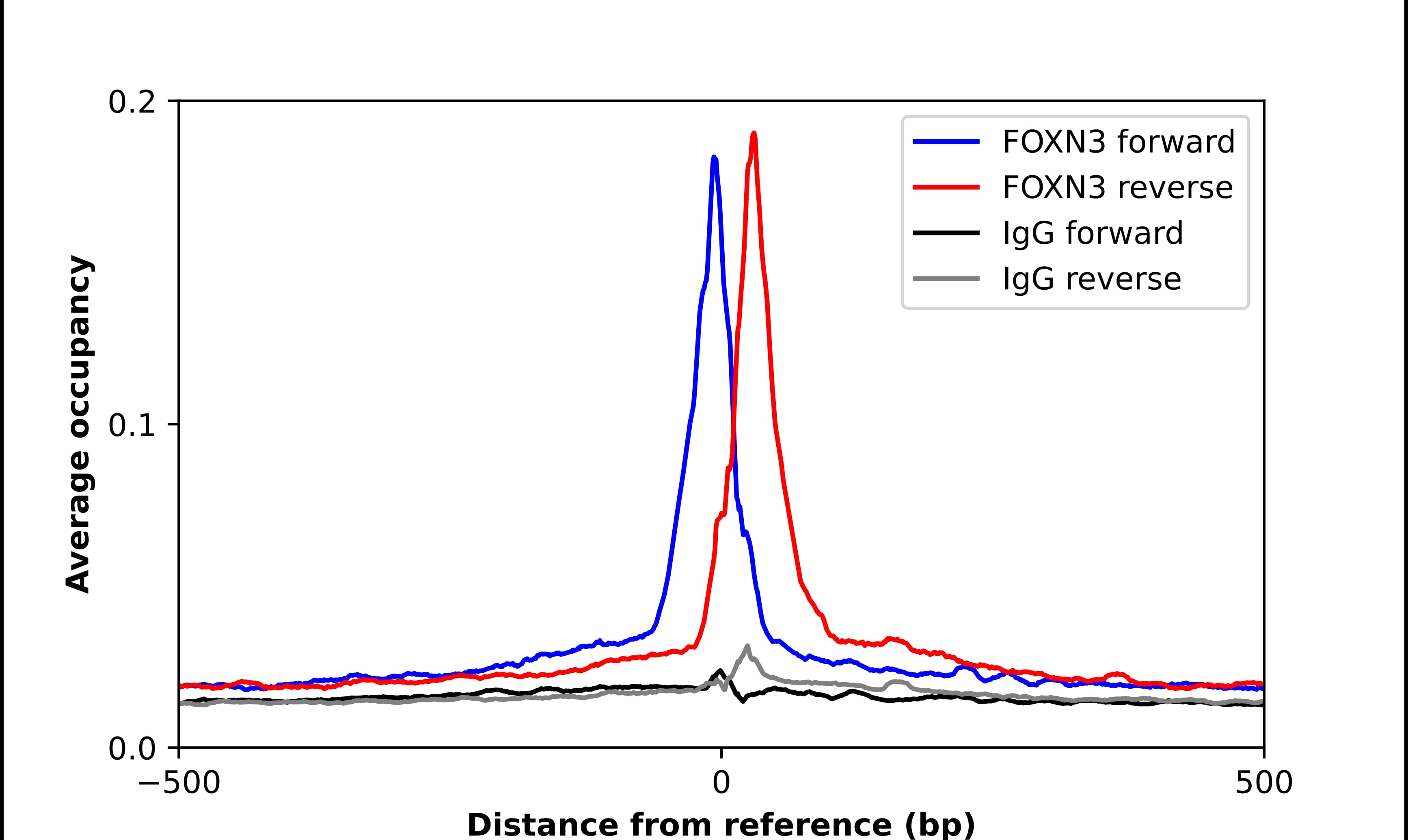 CHES1 Antibody - BSA Free Chromatin Immunoprecipitation ChIP: CHES1 Antibody - BSA Free