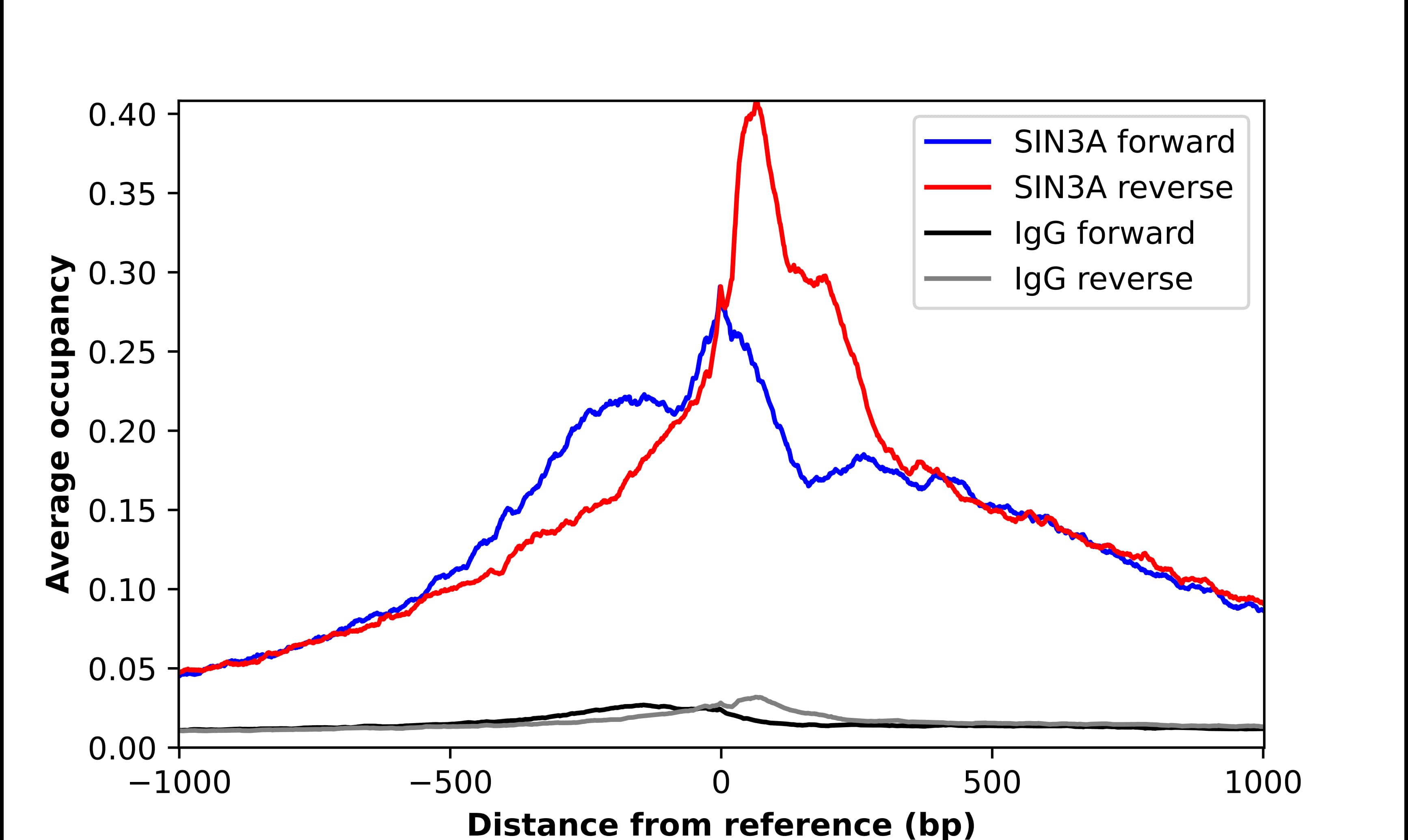 SIN3A Antibody - BSA Free Chromatin Immunoprecipitation-exo-Seq: SIN3A Antibody - BSA Free [NBP2-38949]