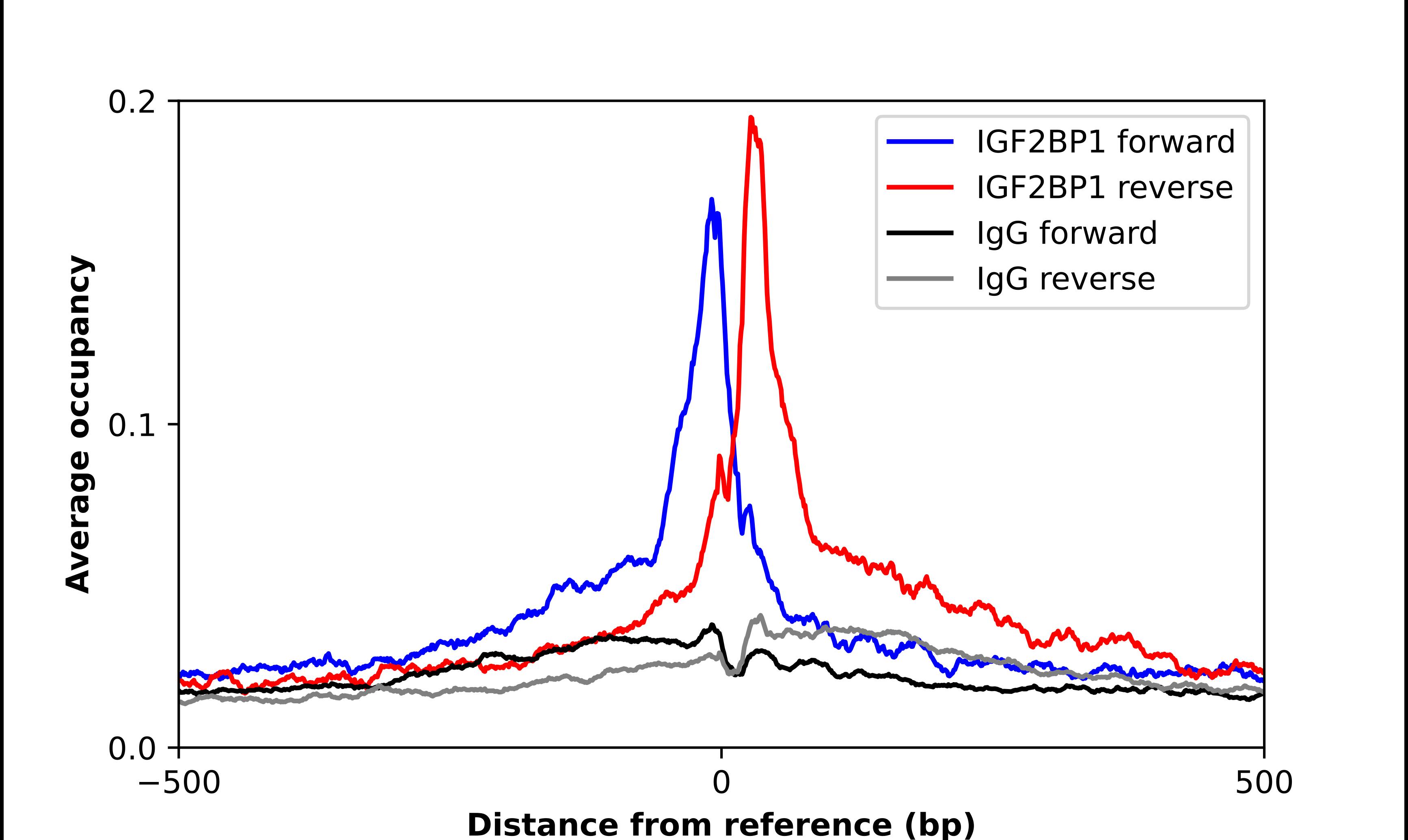 IGF2BP1 Antibody - BSA Free Chromatin Immunoprecipitation-exo-Seq: IGF2BP1 Antibody - BSA Free [NBP2-38956]