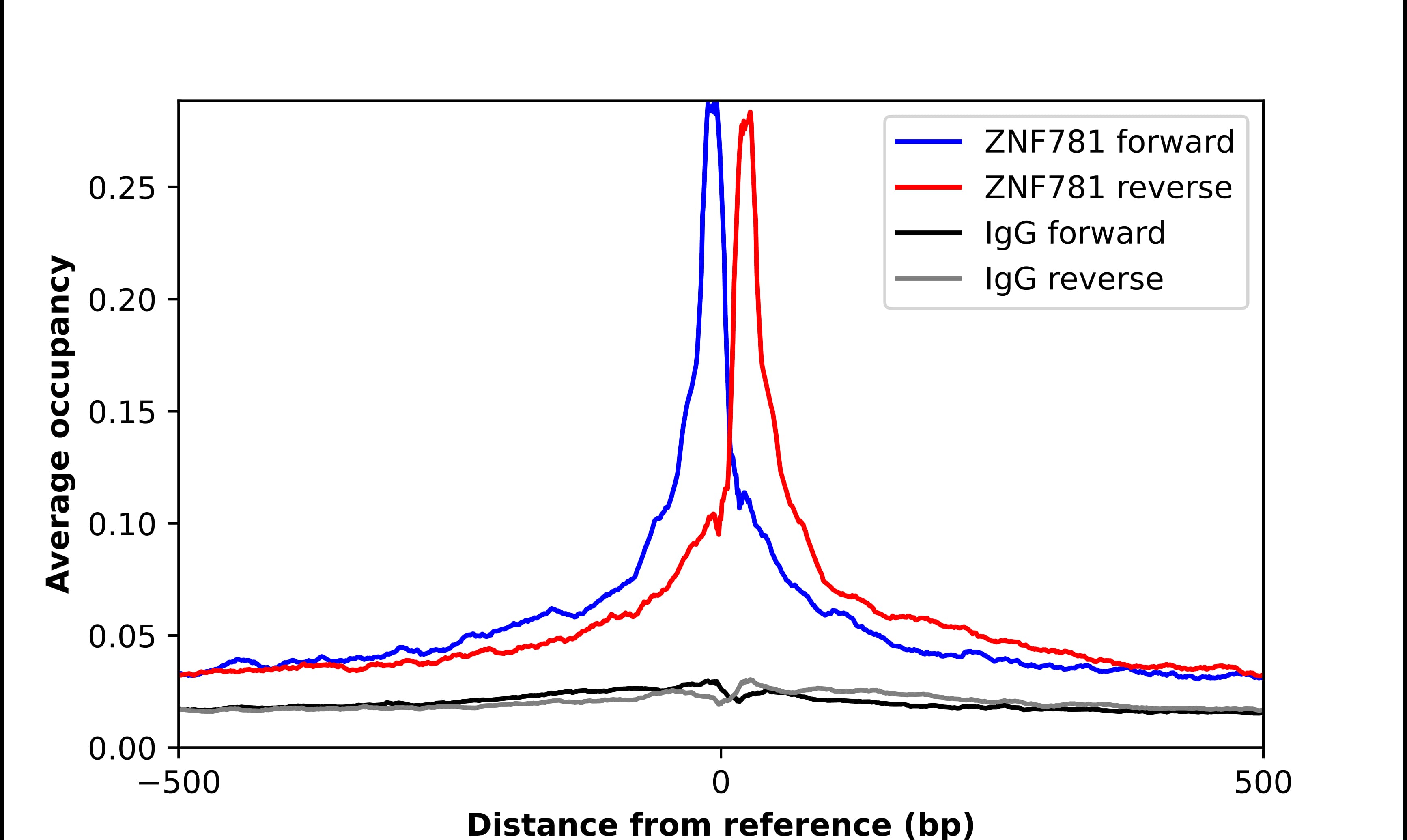ZNF781 Antibody - BSA Free Chromatin Immunoprecipitation ChIP: ZNF781 Antibody - BSA Free