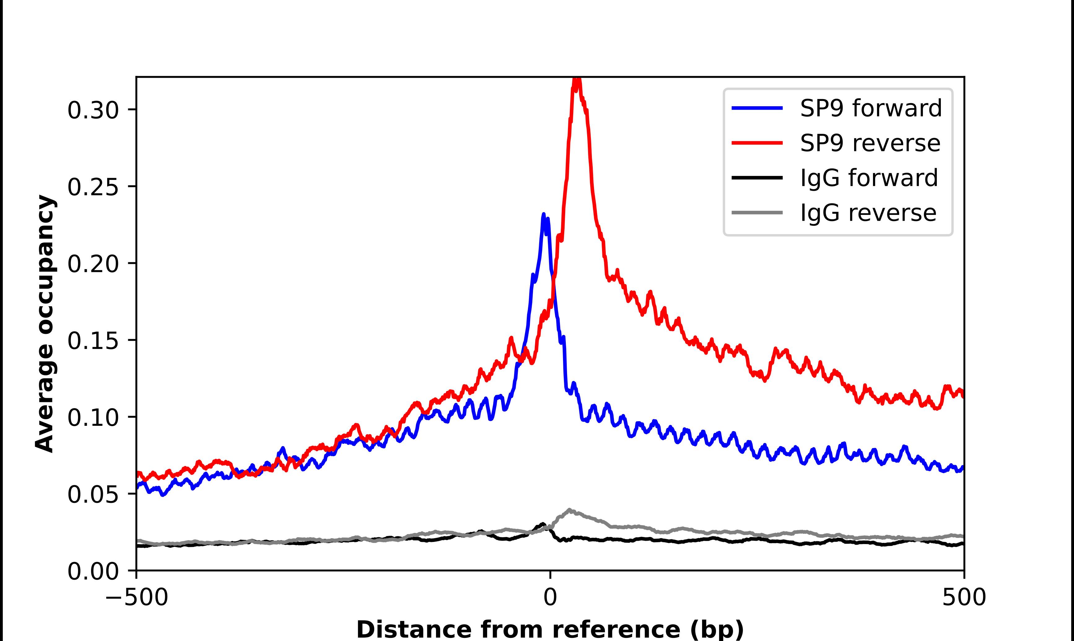 SP9 Antibody - BSA Free Chromatin Immunoprecipitation ChIP: SP9 Antibody - BSA Free