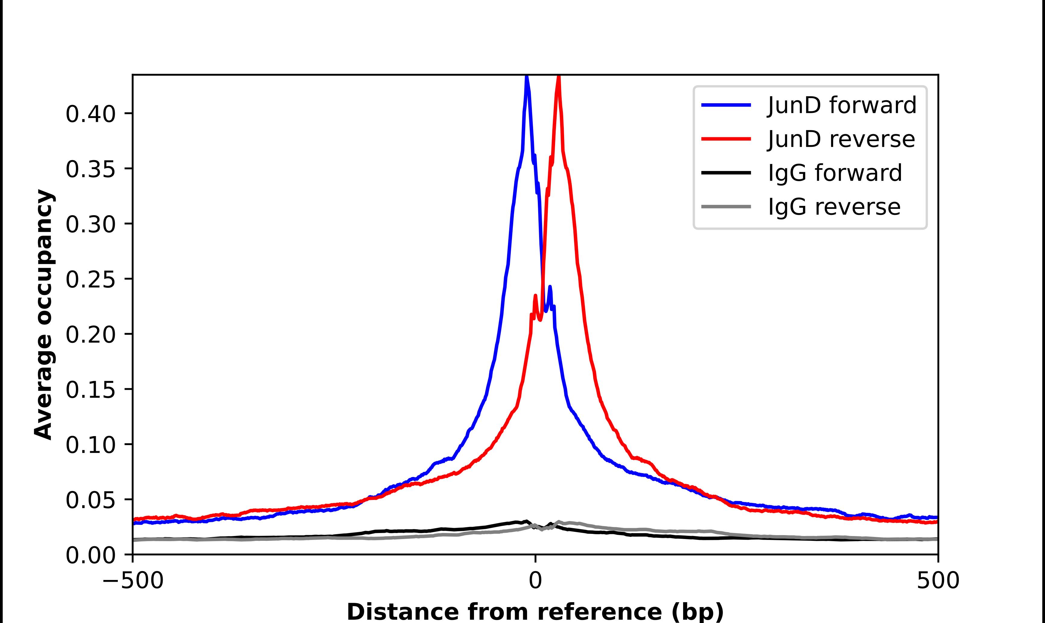 JunD Antibody - BSA Free Chromatin Immunoprecipitation-exo-Seq: JunD Antibody - BSA Free [NBP2-38983]