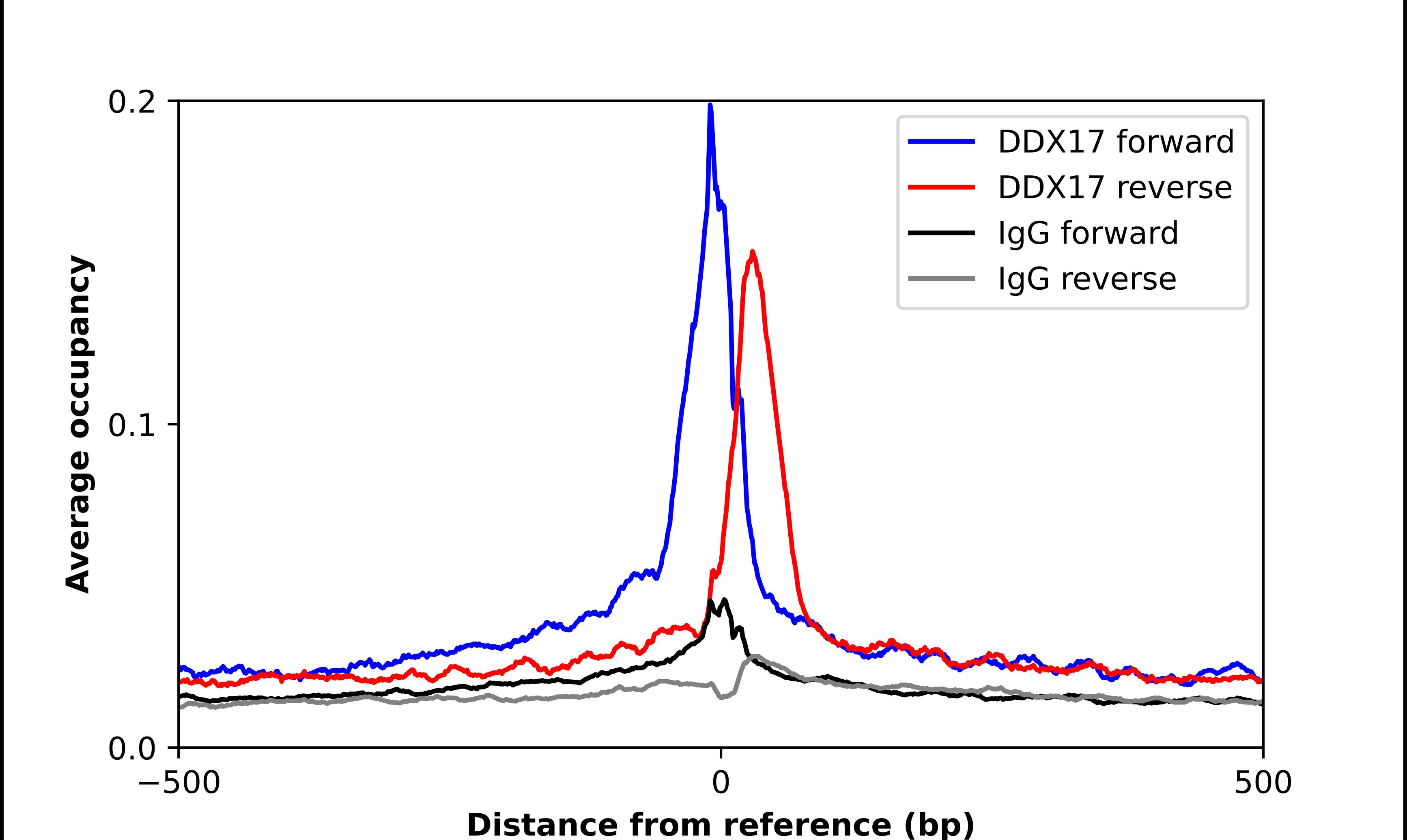 DDX17 Antibody - BSA Free Chromatin Immunoprecipitation-exo-Seq: DDX17 Antibody - BSA Free [NBP2-38985]