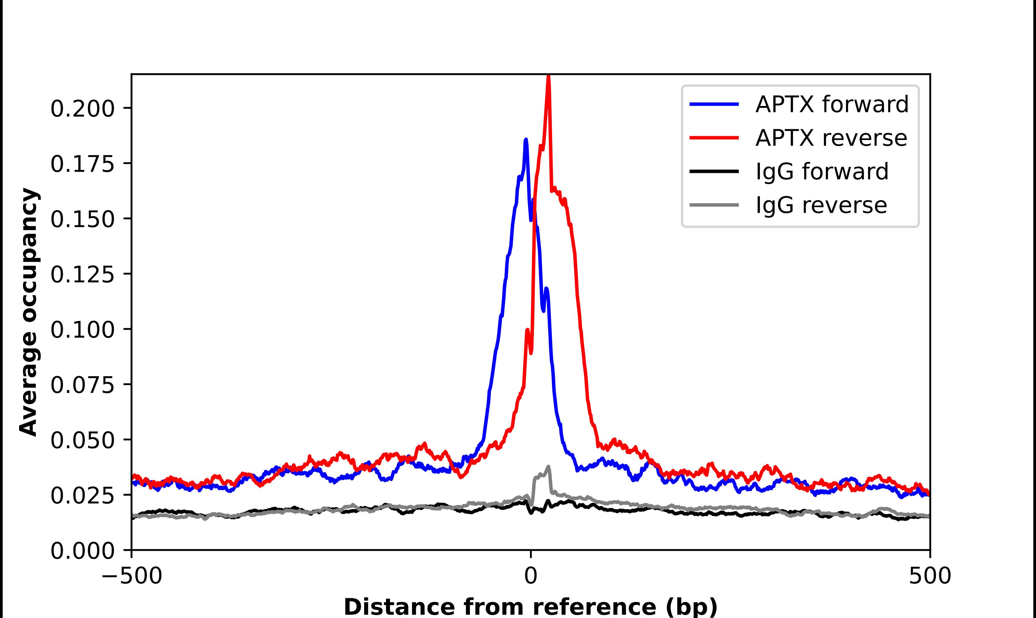 Aprataxin Antibody - BSA Free Chromatin Immunoprecipitation-exo-Seq: Aprataxin Antibody - BSA Free [NBP2-39041]