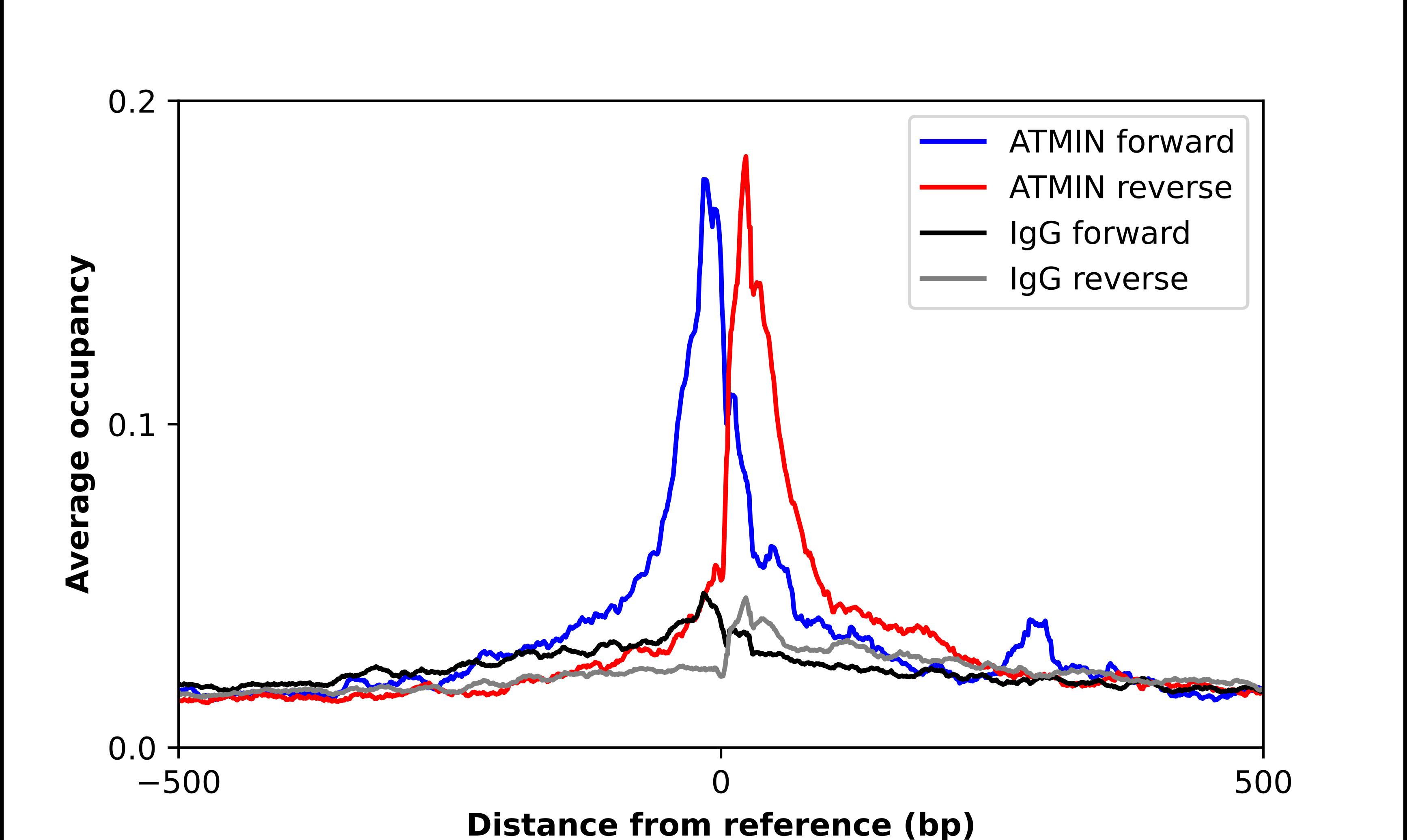 ASCIZ Antibody - BSA Free Chromatin Immunoprecipitation ChIP: ASCIZ Antibody - BSA Free