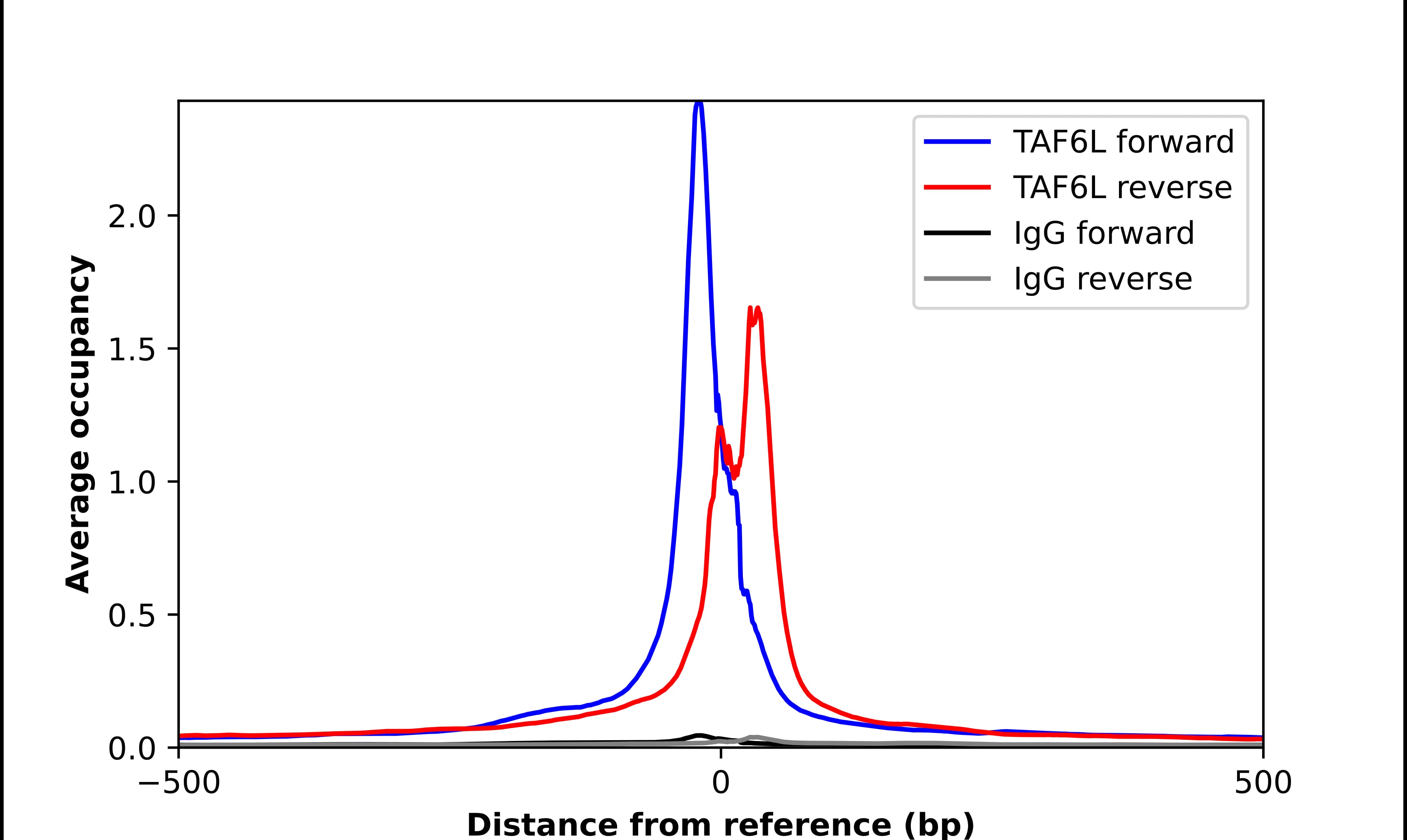 TAF6L Antibody - BSA Free Chromatin Immunoprecipitation-exo-Seq: TAF6L Antibody - BSA Free [NBP2-39083]