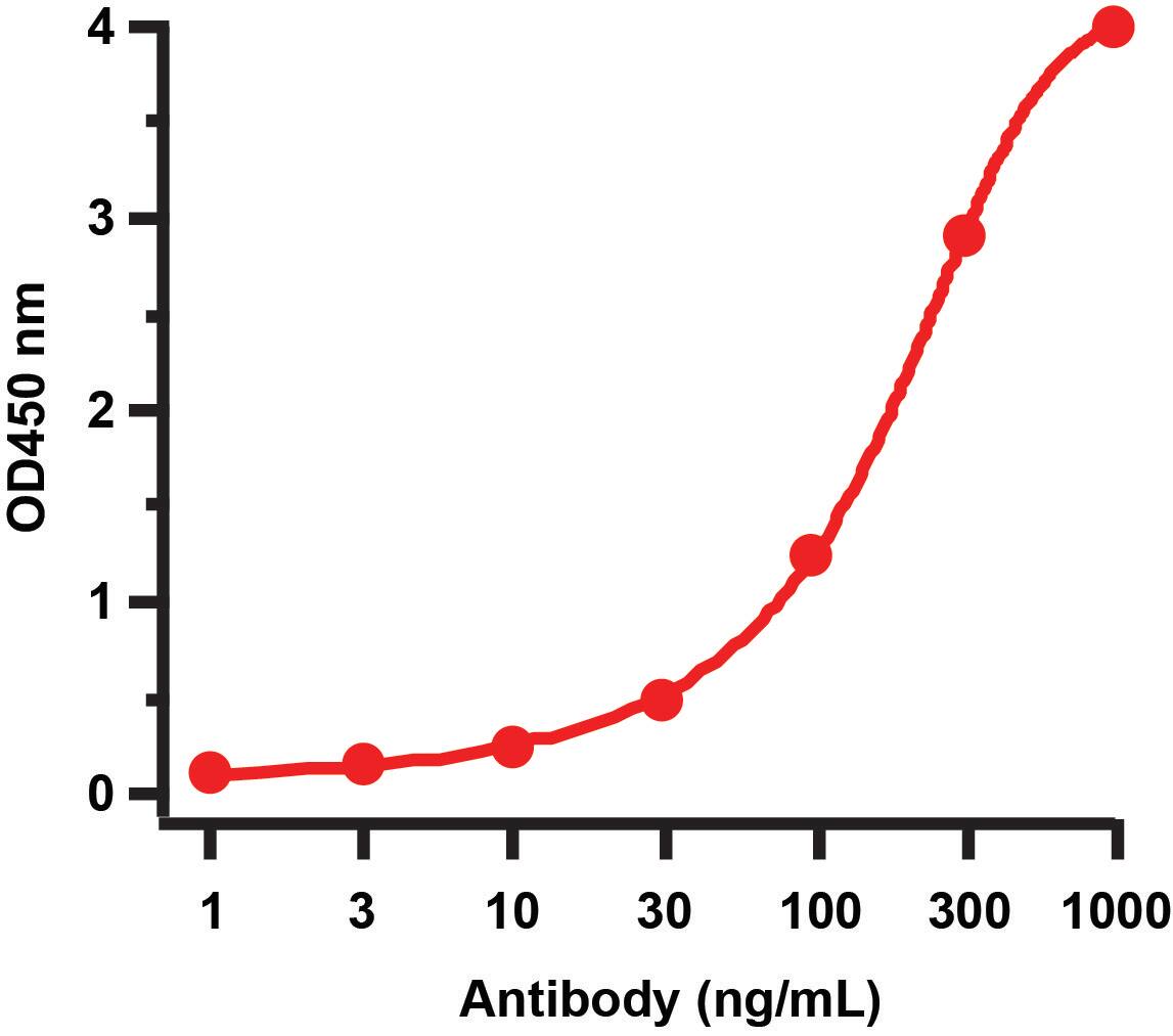 Avian Influenza A H5N1 Neuraminidase Antibody - BSA Free