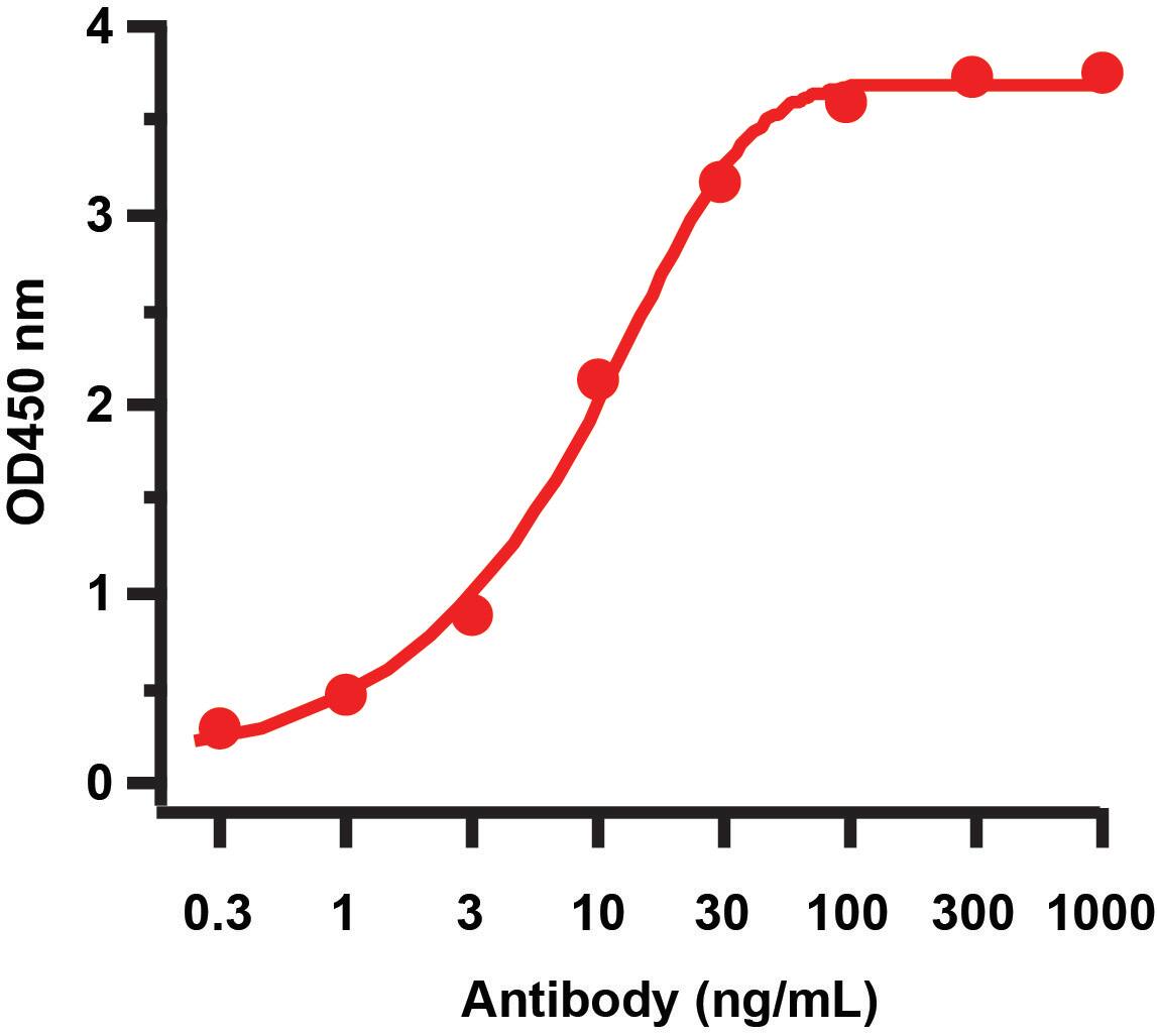 Avian Influenza A H5N1 Hemagglutinin Antibody - BSA Free