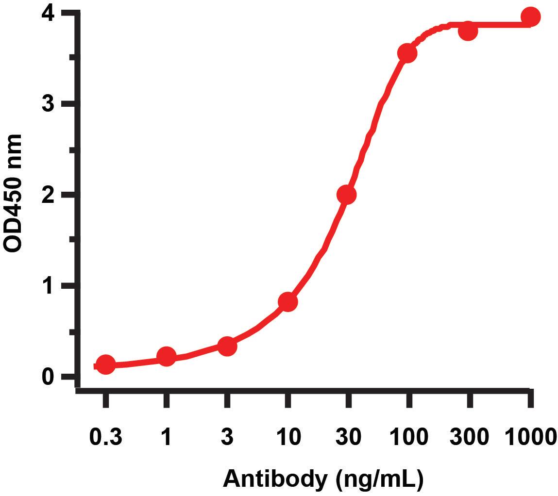 Avian Influenza A H5N1 Hemagglutinin Antibody - BSA Free