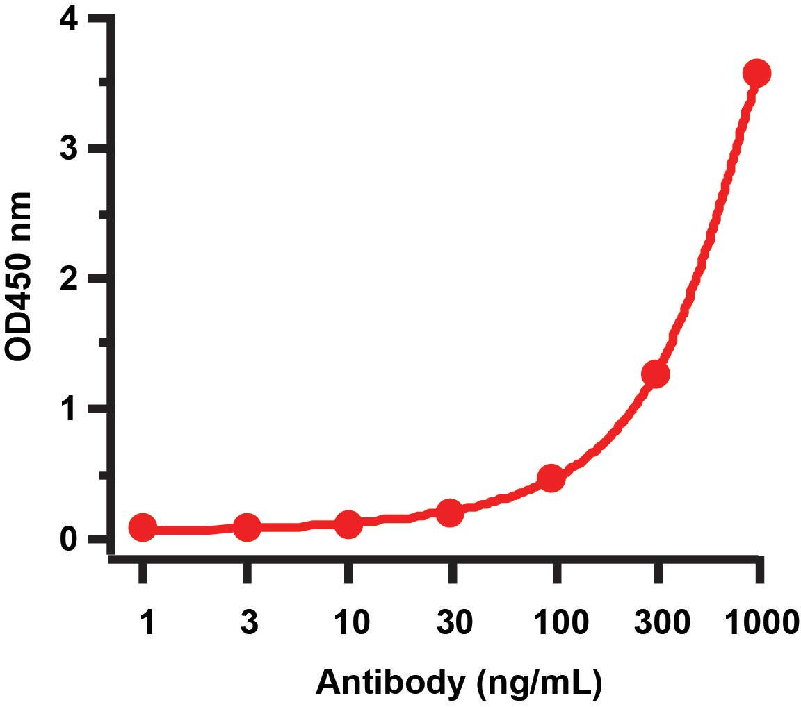 H1N1 Neuraminidase Antibody - BSA Free