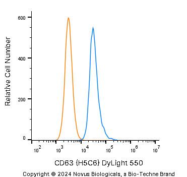 CD63 Antibody (H5C6) [DyLight 550]
