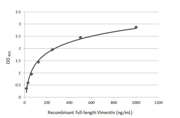 Vimentin Antibody (812)