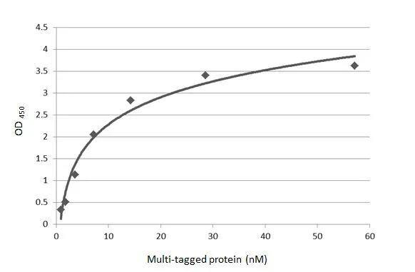 Myc Epitope Tag Antibody (2) - Azide and BSA Free