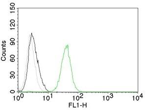 CD31/PECAM-1 Antibody (C31.7) - IHC-Prediluted Flow Cytometry: CD31/PECAM-1 Antibody (C31.7) - IHC-Prediluted [NBP2-44333] -