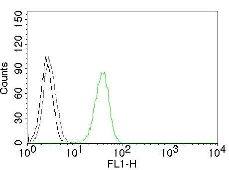 CD31/PECAM-1 Antibody (C31.3) - IHC-Prediluted Flow Cytometry: CD31/PECAM-1 Antibody (C31.3) - IHC-Prediluted [NBP2-44334] -