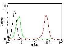 CD31/PECAM-1 Antibody (SPM122) - IHC-Prediluted Flow Cytometry: CD31/PECAM-1 Antibody (SPM122) - IHC-Prediluted [NBP2-44338] -