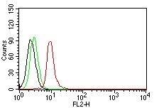 Cyclin D1 Antibody (DCS-6) - IHC-Prediluted Flow Cytometry: Cyclin D1 Antibody (DCS-6) - IHC-Prediluted [NBP2-44584] -