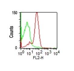 CD43/Sialophorin Antibody (SPM503) - IHC-Prediluted Flow Cytometry: CD43/Sialophorin Antibody (SPM503) - IHC-Prediluted [NBP2-44647] -