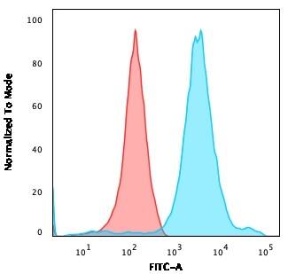 NF-H Antibody (NF421) - IHC-Prediluted Flow Cytometry: NF-H Antibody (NF421) - IHC-Prediluted [NBP2-44724] -