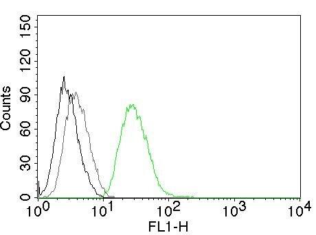 Ornithine Decarboxylase Antibody (ODC1/485) - IHC-Prediluted Flow Cytometry: Ornithine Decarboxylase Antibody (ODC1/485) - IHC-Prediluted [NBP2-44732] -