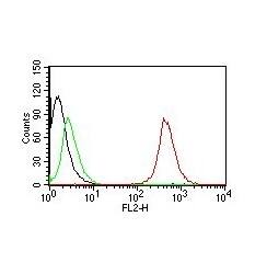 CD63 Antibody (NKI/C3) - IHC-Prediluted Flow Cytometry: CD63 Antibody (NKI/C3) - IHC-Prediluted [NBP2-44806] -