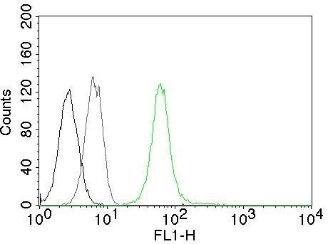 Vimentin Antibody (VM452) - IHC-Prediluted Flow Cytometry: Vimentin Antibody (VM452) - IHC-Prediluted [NBP2-44830] -