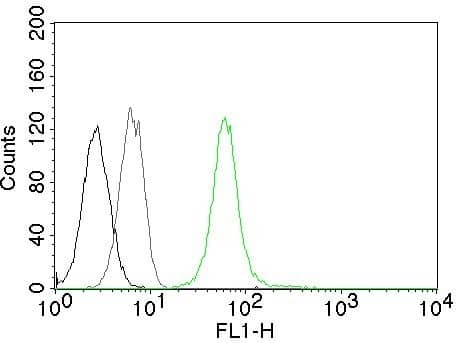 Vimentin Antibody (VM452) - IHC-Prediluted Flow Cytometry: Vimentin Antibody (VM452) - IHC-Prediluted [NBP2-44830] -