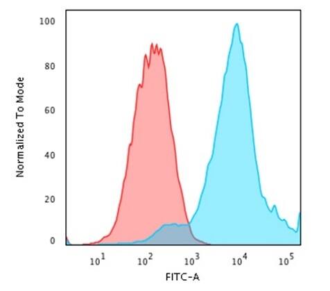 HSP27 Antibody (G3.1) - IHC-Prediluted Flow Cytometry: HSP27 Antibody (G3.1) - IHC-Prediluted [NBP2-44973] -