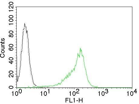 Nucleoli Marker Antibody (NM95) - IHC-Prediluted Flow Cytometry: Nucleoli Marker Antibody (NM95) - IHC-Prediluted [NBP2-45215] -