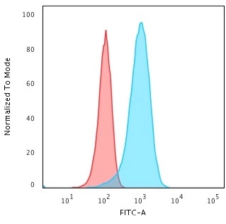 UCH-L1/PGP9.5 Antibody (31A3) - IHC-Prediluted Flow Cytometry: UCH-L1/PGP9.5 Antibody (31A3) - IHC-Prediluted [NBP2-45339] -