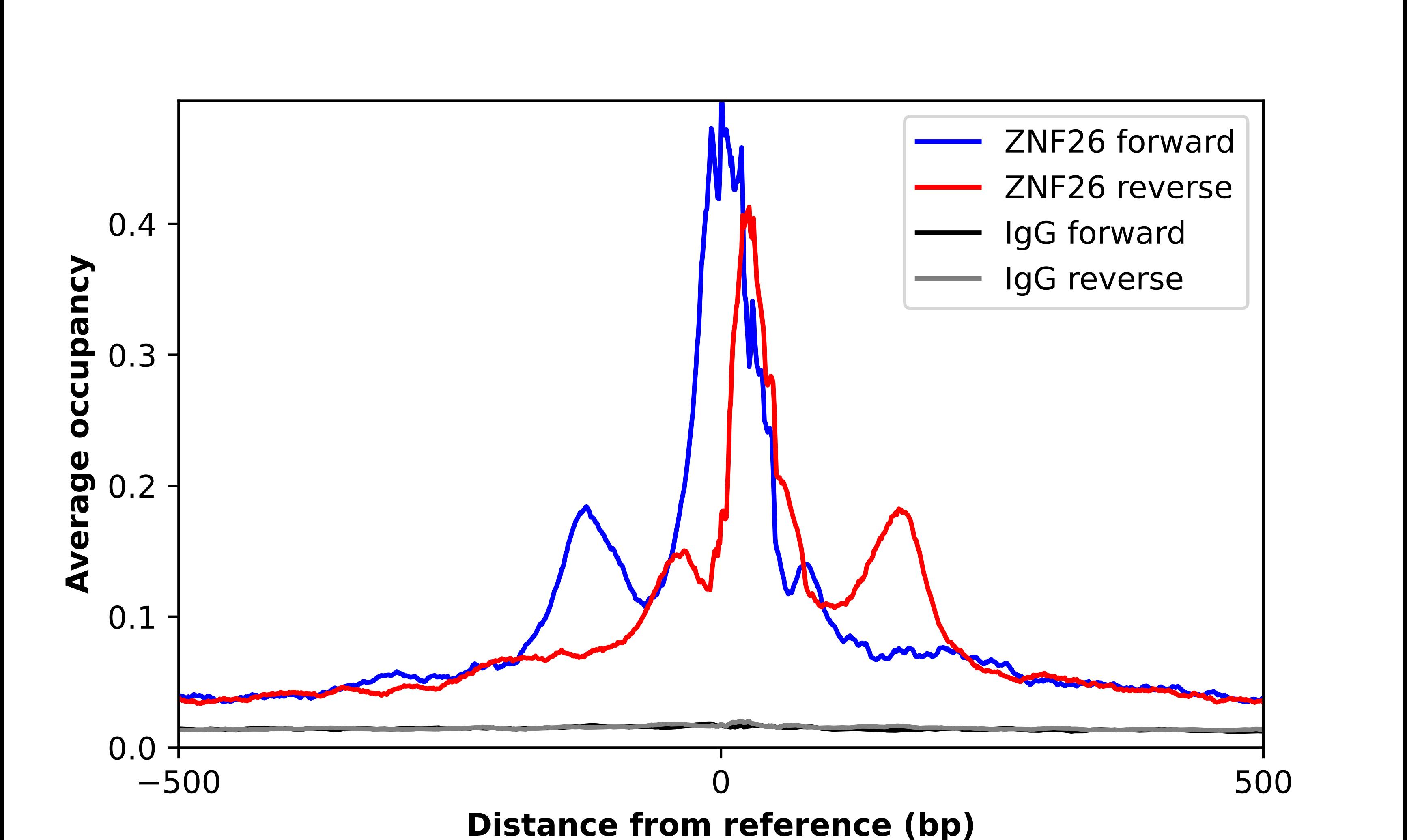 ZNF26 Antibody - BSA Free Chromatin Immunoprecipitation-exo-Seq: ZNF26 Antibody - BSA Free [NBP2-46673]
