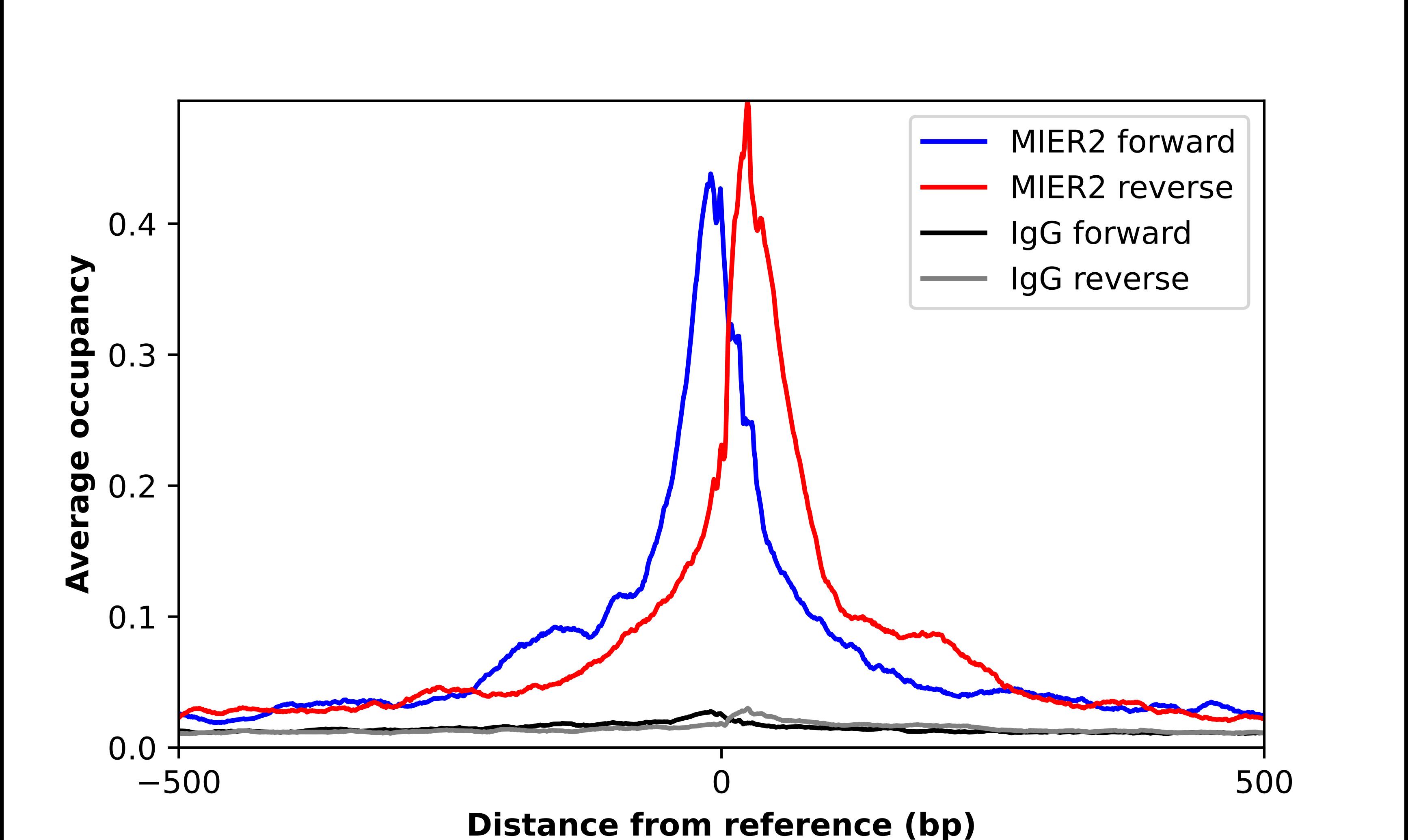 MIER2 Antibody - BSA Free Chromatin Immunoprecipitation ChIP: MIER2 Antibody - BSA Free