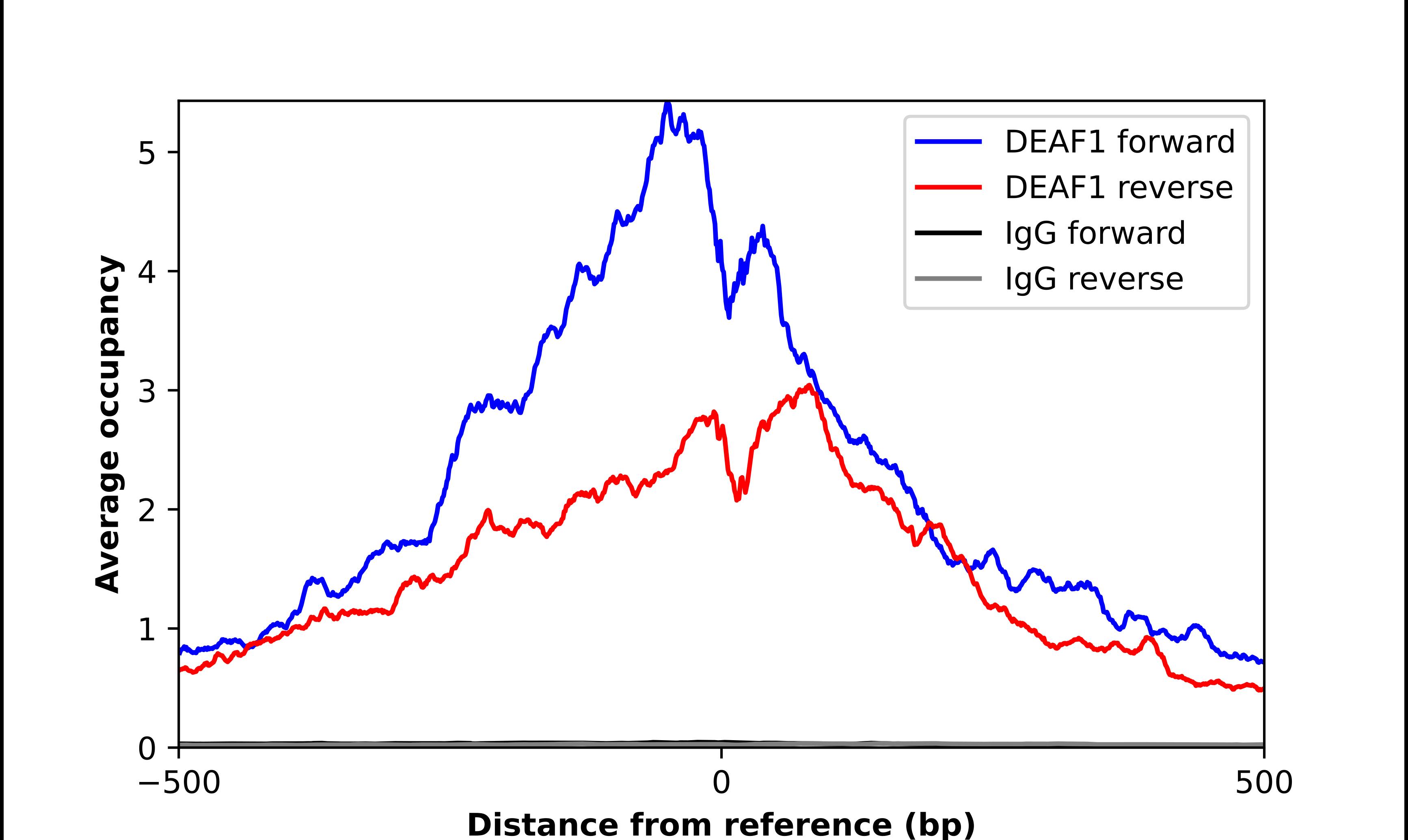 DEAF1 Antibody - BSA Free Chromatin Immunoprecipitation-exo-Seq: DEAF1 Antibody - BSA Free [NBP2-47489]