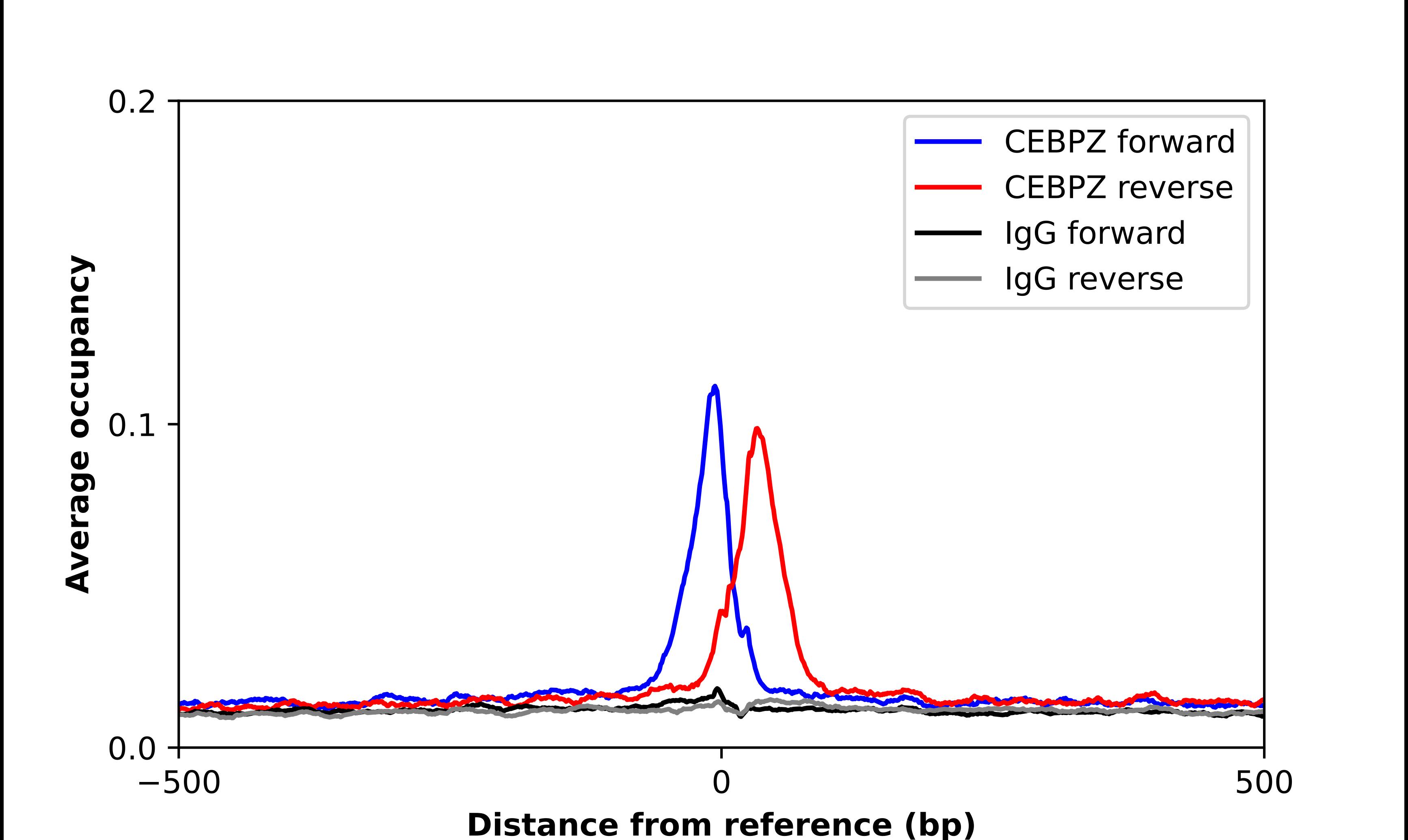 CBF2 Antibody - BSA Free Chromatin Immunoprecipitation ChIP: CBF2 Antibody - BSA Free