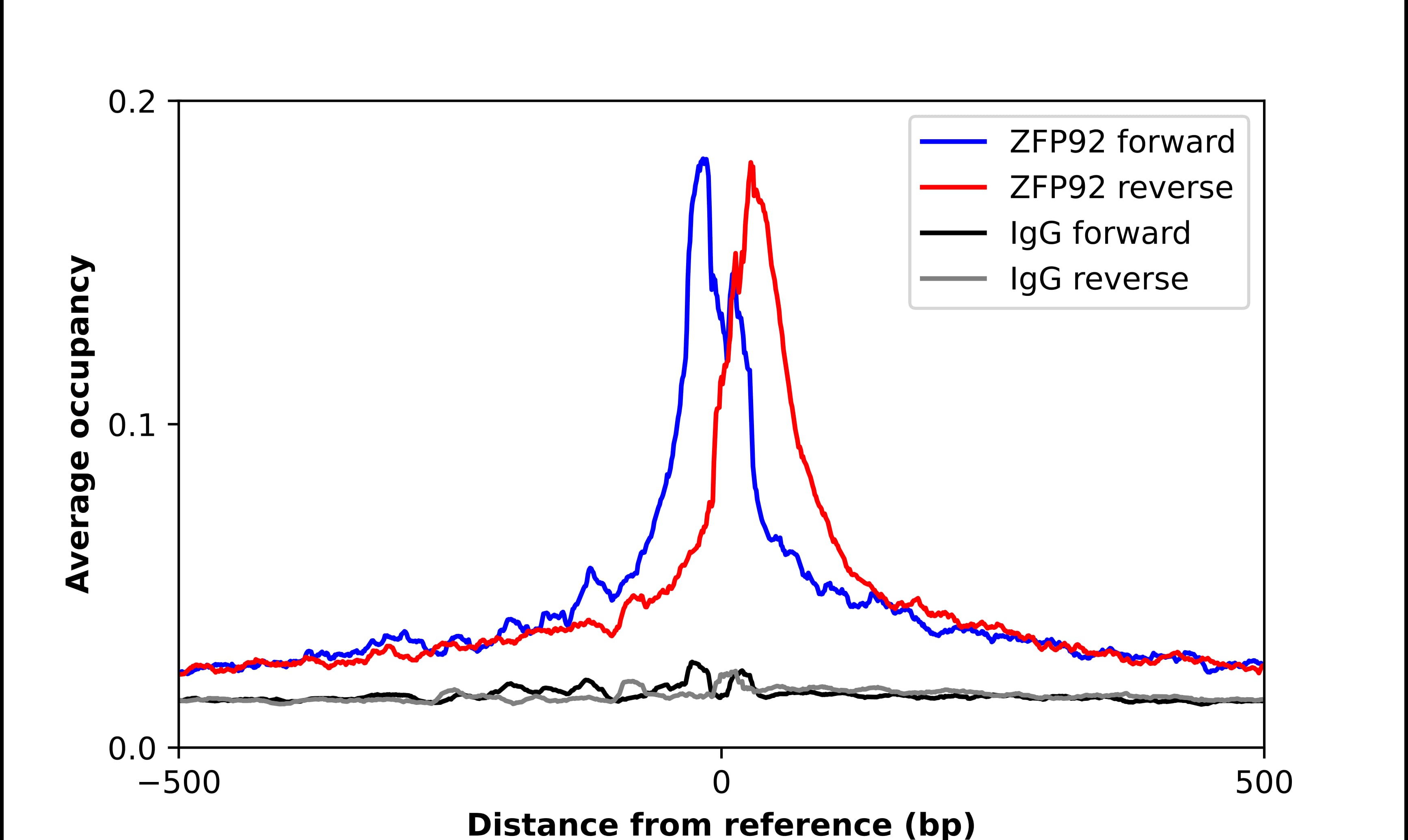 ZFP92 Antibody - BSA Free Chromatin Immunoprecipitation-exo-Seq: ZFP92 Antibody - BSA Free [NBP2-47573]
