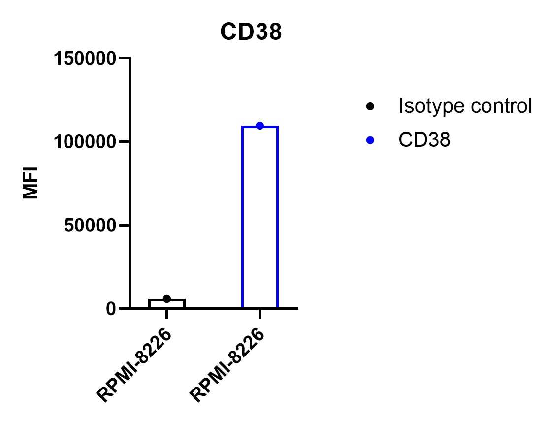 CD38 Antibody (AT1) [Biotin]