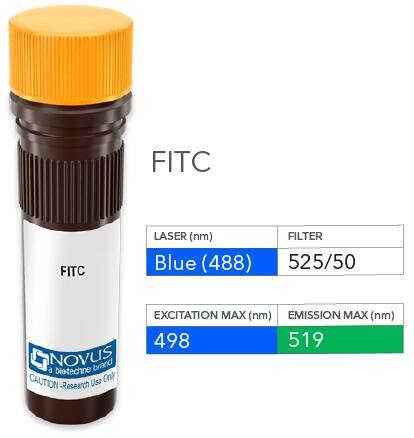 Neprilysin/CD10 Antibody (CB-CALLA) [FITC]