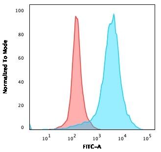 CD63 Antibody (LAMP3/968) - IHC-Prediluted Flow Cytometry: CD63 Antibody (LAMP3/968) - IHC-Prediluted [NBP2-48021] -