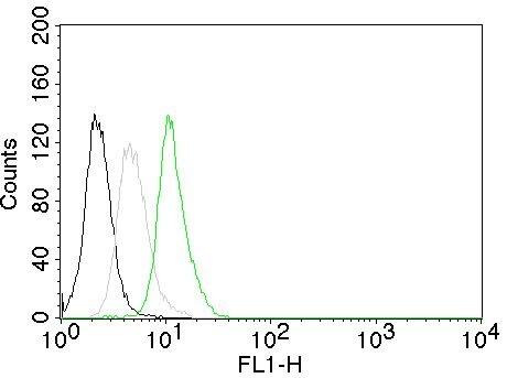 Cyclin D1 Antibody (CCND1/809) - IHC-Prediluted Flow Cytometry: Cyclin D1 Antibody (CCND1/809) - IHC-Prediluted [NBP2-48127] -