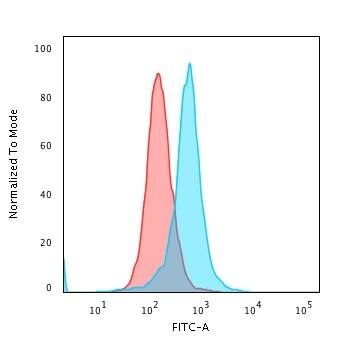 Calponin 1 Antibody (CALP) - IHC-Prediluted Flow Cytometry: Calponin 1 Antibody (CALP) - IHC-Prediluted [NBP2-48184] -